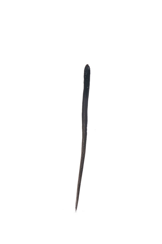 Perfect Lashes Eyeliner - Black - Siyah Eyeliner - 4
